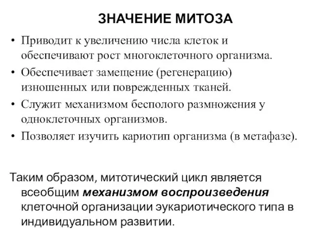 ЗНАЧЕНИЕ МИТОЗА Приводит к увеличению числа клеток и обеспечивают рост