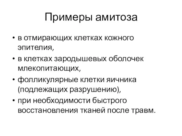 Примеры амитоза в отмирающих клетках кожного эпителия, в клетках зародышевых