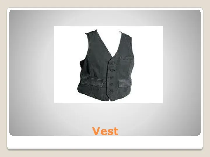 Vest