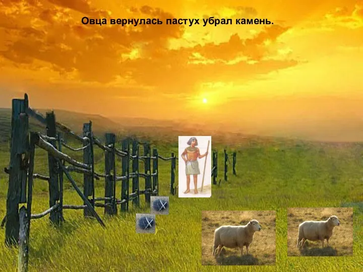 Овца вернулась пастух убрал камень.