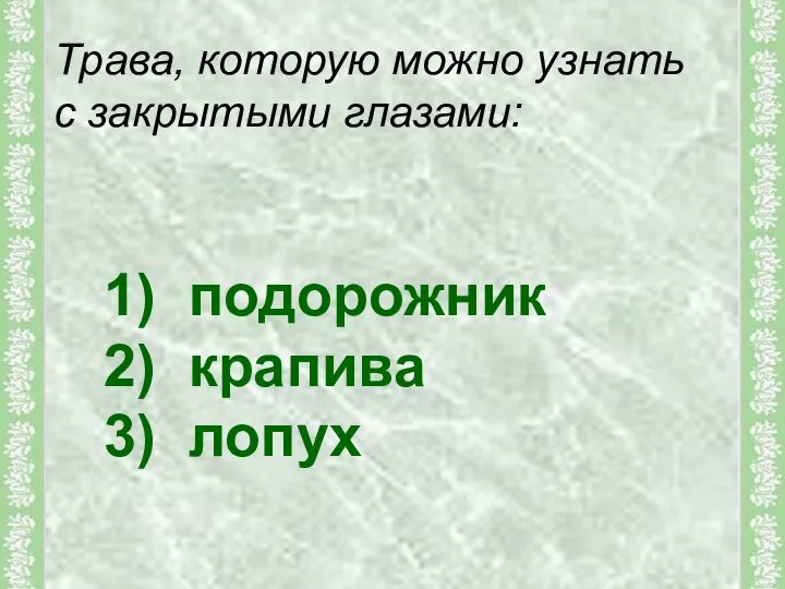 1) подорожник 2) крапива 3) лопух Трава, которую можно узнать с закрытыми глазами: