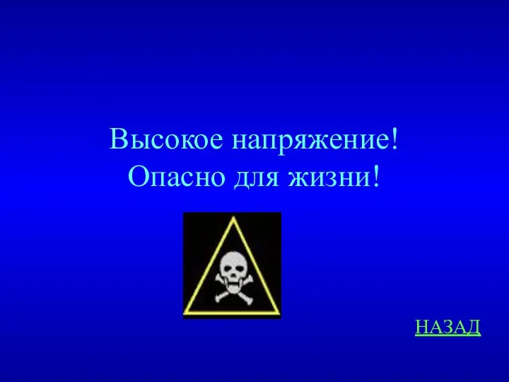 НАЗАД Высокое напряжение! Опасно для жизни!