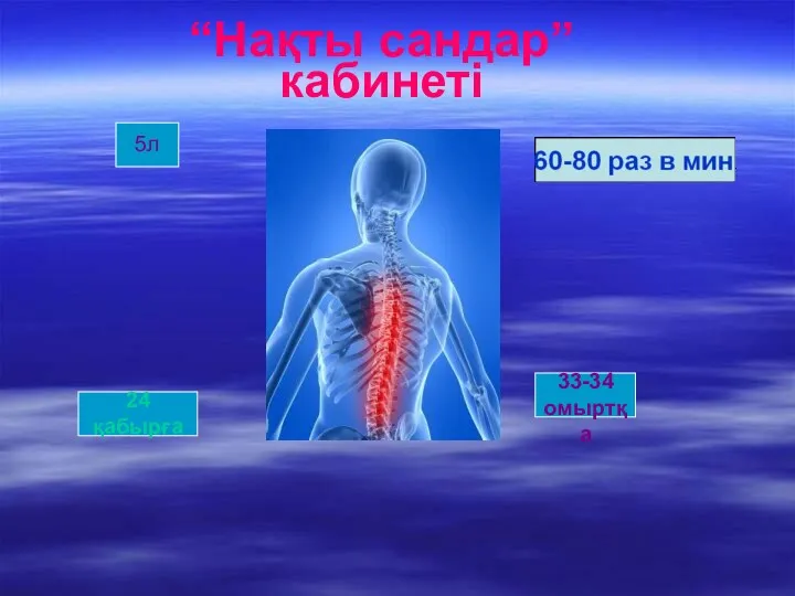 “Нақты сандар” кабинеті 5л 33-34 омыртқа 24 қабырға