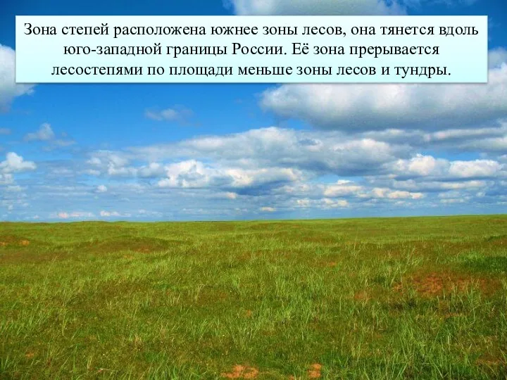 Зона степей расположена южнее зоны лесов, она тянется вдоль юго-западной границы России. Её