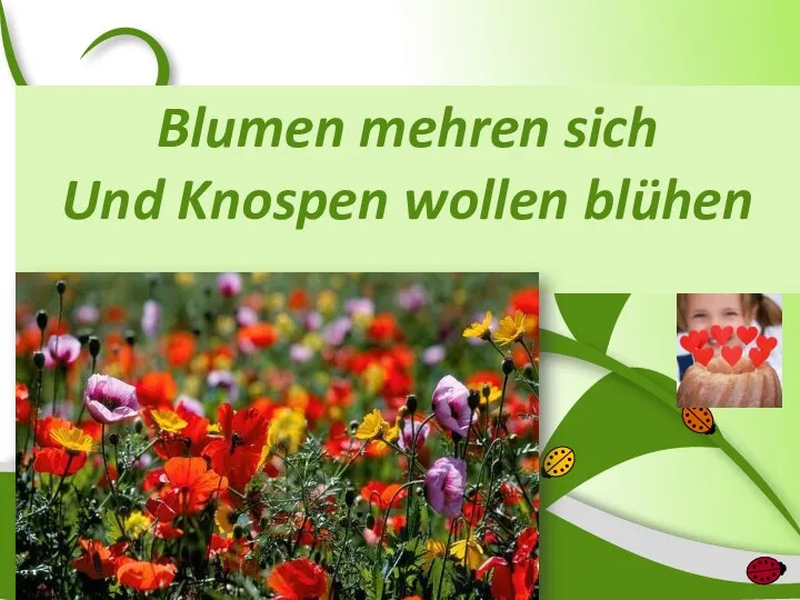 Blumen mehren sich Und Knospen wollen blühen