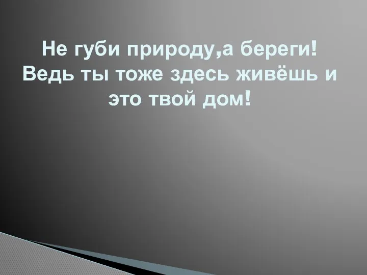 Не губи природу,а береги! Ведь ты тоже здесь живёшь и это твой дом!