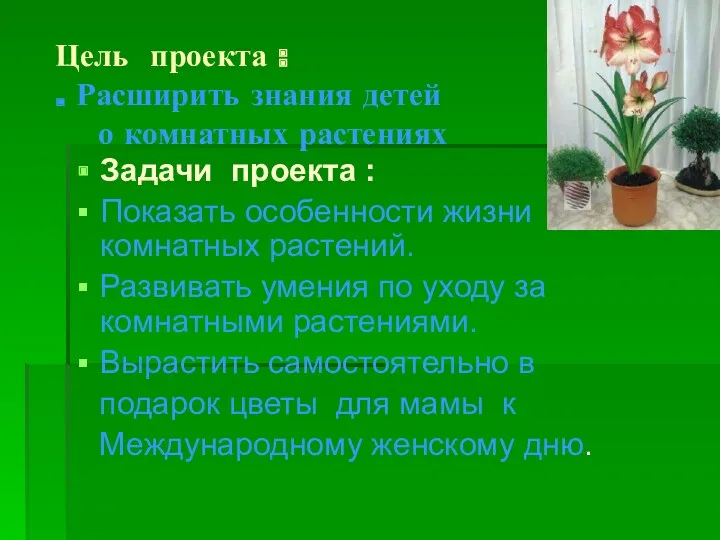 Цель проекта : . Расширить знания детей о комнатных растениях