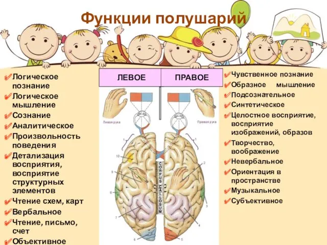 Логическое познание Логическое мышление Сознание Аналитическое Произвольность поведения Детализация восприятия,