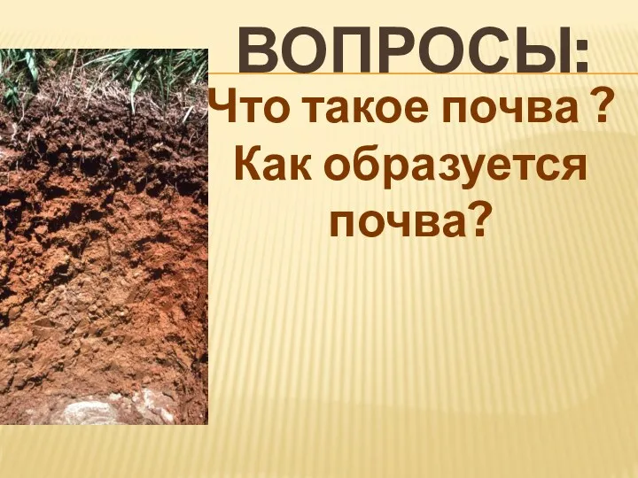 Вопросы: Что такое почва ? Как образуется почва?