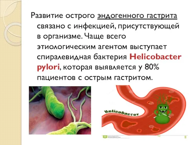 Развитие острого эндогенного гастрита связано с инфекцией, присутствующей в организме. Чаще всего этиологическим