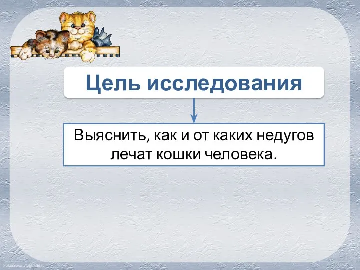 Выяснить, как и от каких недугов лечат кошки человека. Цель исследования