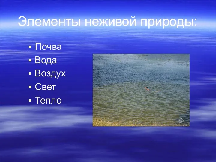 Элементы неживой природы: Почва Вода Воздух Свет Тепло