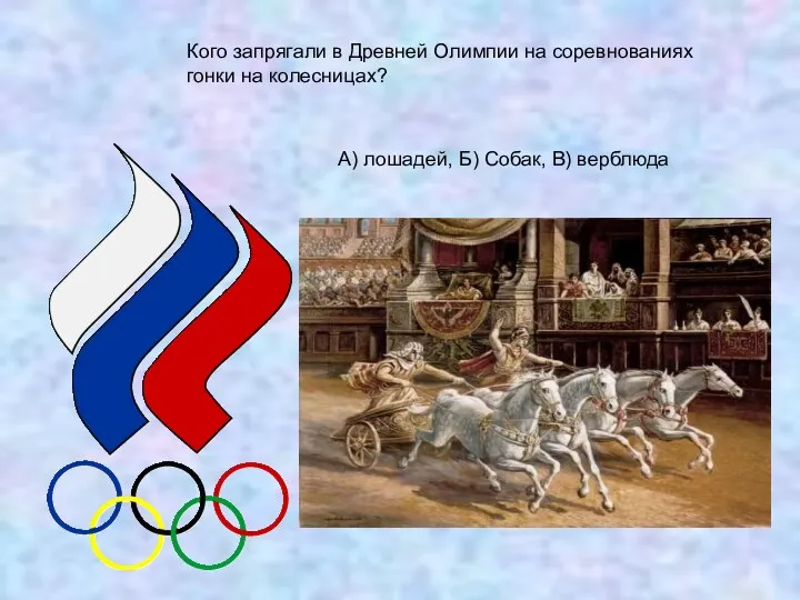 Кого запрягали в Древней Олимпии на соревнованиях гонки на колесницах? А) лошадей, Б) Собак, В) верблюда
