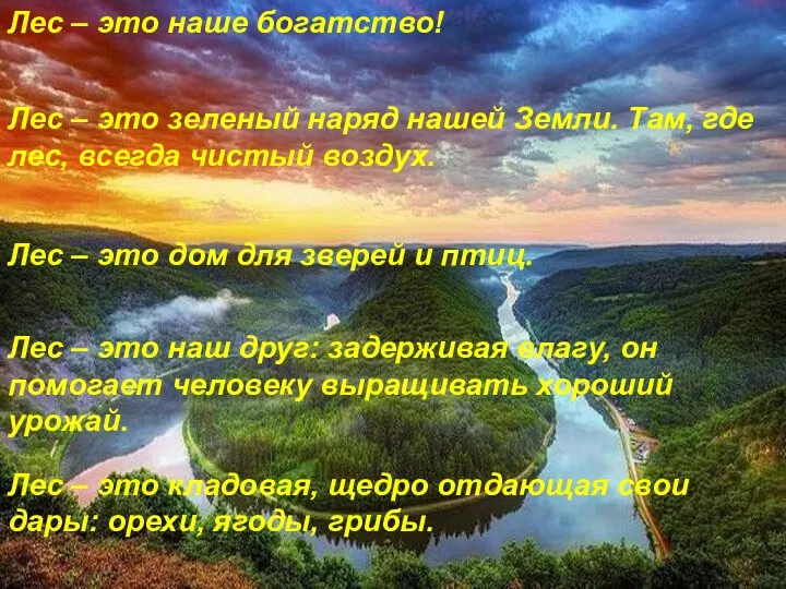 Лес – это наше богатство! Лес – это зеленый наряд нашей Земли. Там,