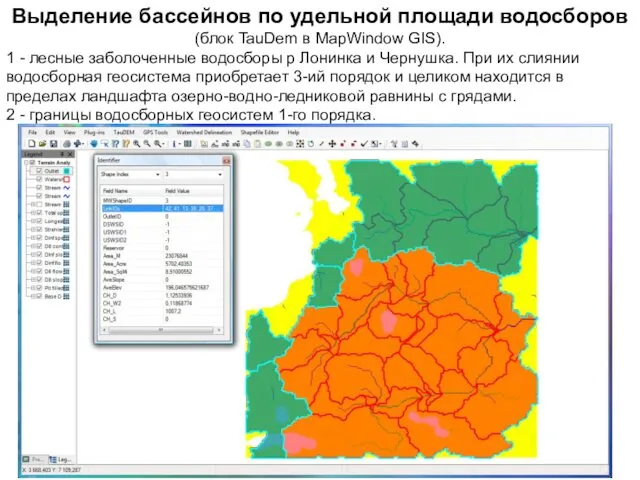 Выделение бассейнов по удельной площади водосборов (блок TauDem в MapWindow GIS). 1 -