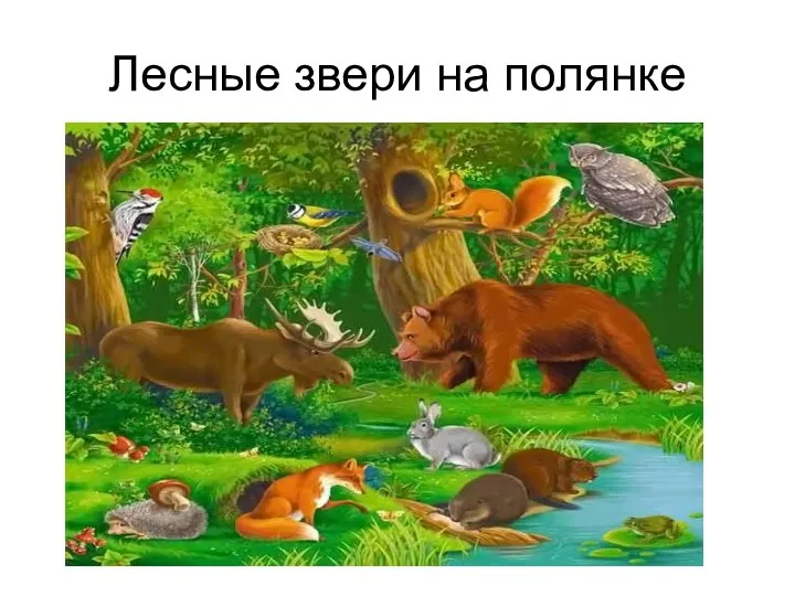 Лесные звери на полянке