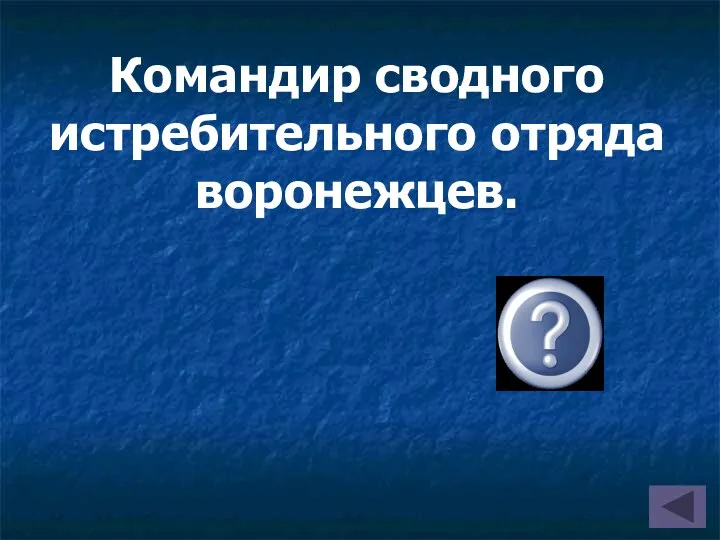 Командир сводного истребительного отряда воронежцев. (Грачёв)