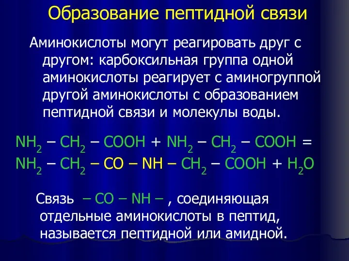 Образование пептидной связи NH2 – CH2 – COOH + NH2