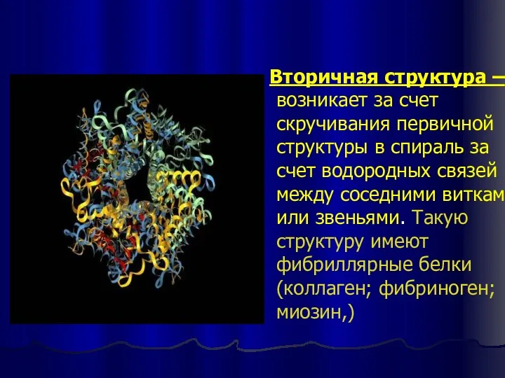 Вторичная структура – возникает за счет скручивания первичной структуры в