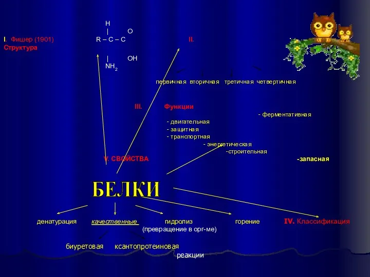 Н | O I. Фишер (1901) R – C –