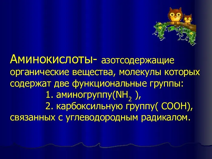 Аминокислоты- азотсодержащие органические вещества, молекулы которых содержат две функциональные группы: