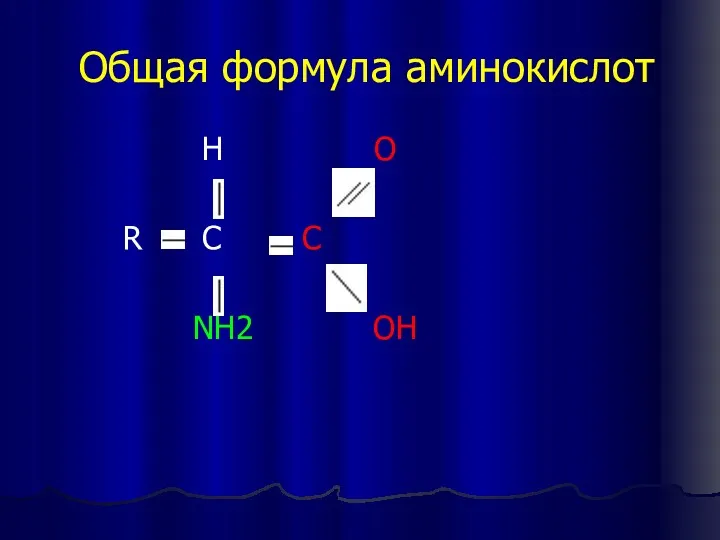 Общая формула аминокислот H O R C C NH2 OH