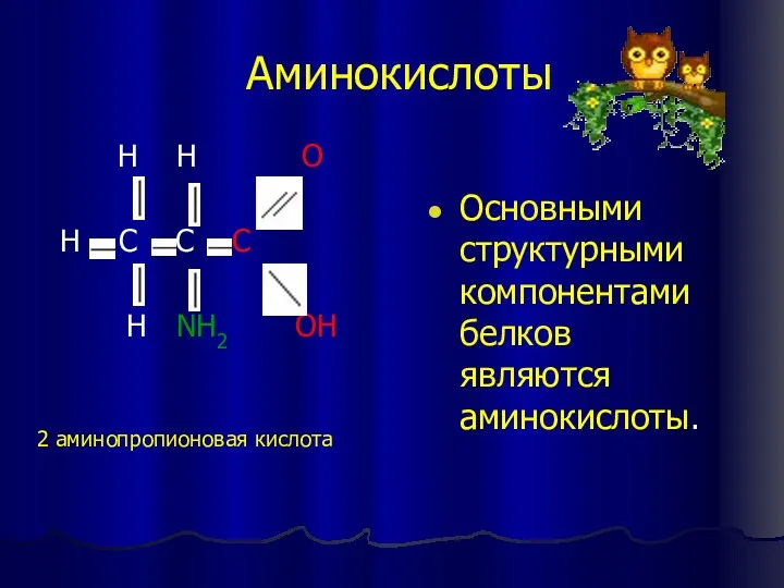 Аминокислоты H H O H C C C H NH2