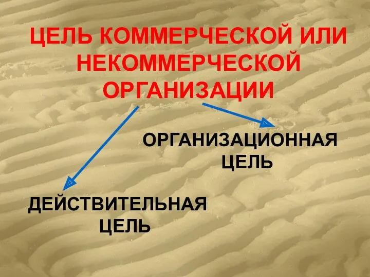 ЦЕЛЬ КОММЕРЧЕСКОЙ ИЛИ НЕКОММЕРЧЕСКОЙ ОРГАНИЗАЦИИ ДЕЙСТВИТЕЛЬНАЯ ЦЕЛЬ ОРГАНИЗАЦИОННАЯ ЦЕЛЬ