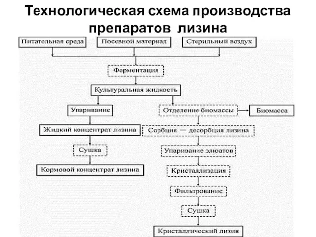 Технологическая схема производства препаратов лизина