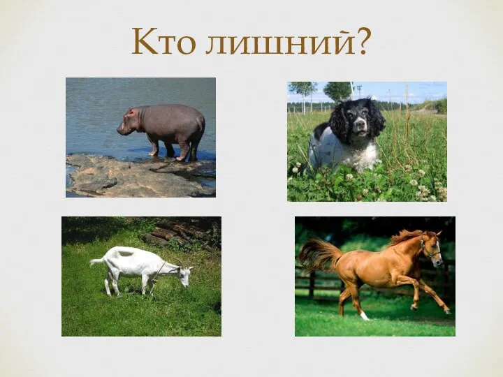 Кто лишний?