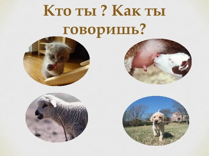 Кто ты ? Как ты говоришь?