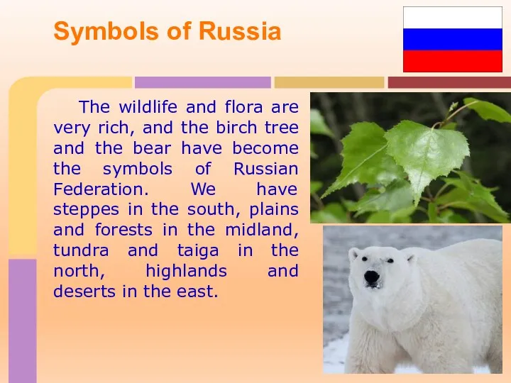 Symbols of Russia The wildlife and flora are very rich, and the birch