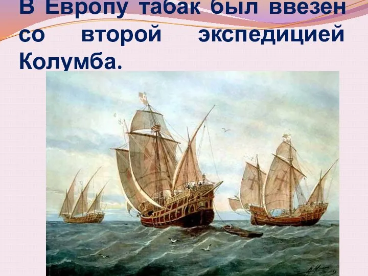 В Европу табак был ввезен со второй экспедицией Колумба.