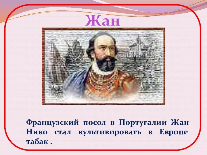 Жан Нико Французский посол в Португалии Жан Нико стал культивировать в Европе табак .