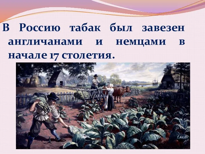 В Россию табак был завезен англичанами и немцами в начале 17 столетия.