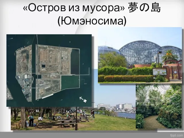 «Остров из мусора» 夢の島 (Юмэносима)