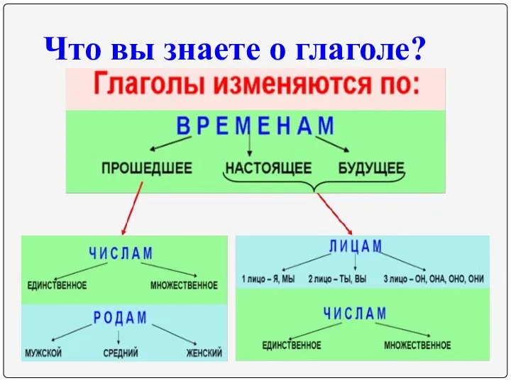 Что вы знаете о глаголе?