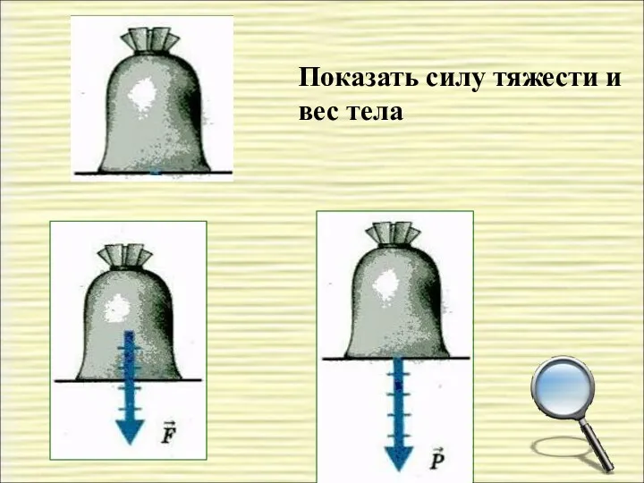 Показать силу тяжести и вес тела