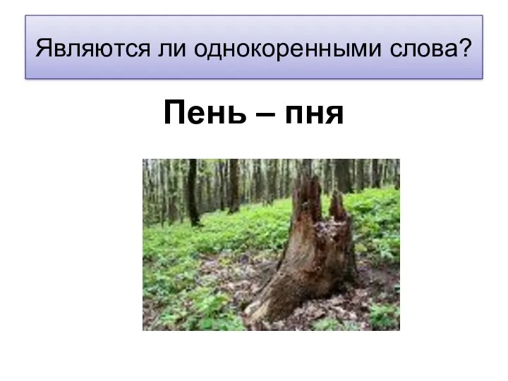 Являются ли однокоренными слова? Пень – пня