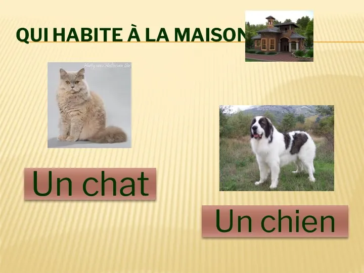 Qui habite À la maison? Un chat Un chien