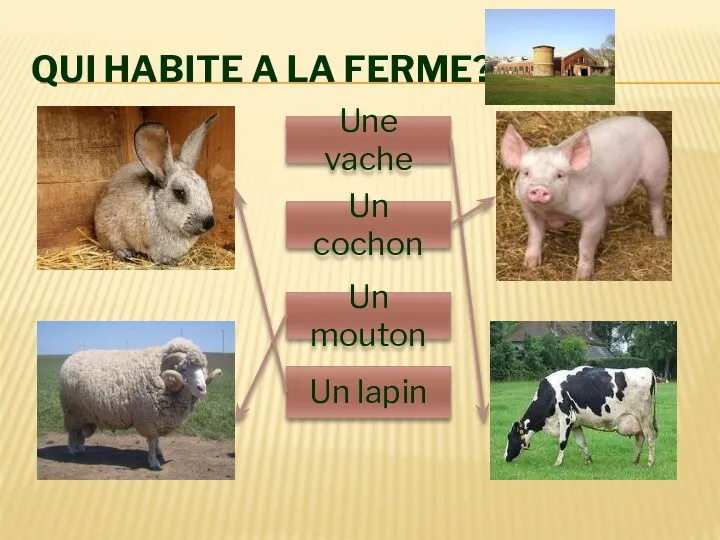 Qui habite A la ferme? Une vache Un cochon Un mouton Un lapin