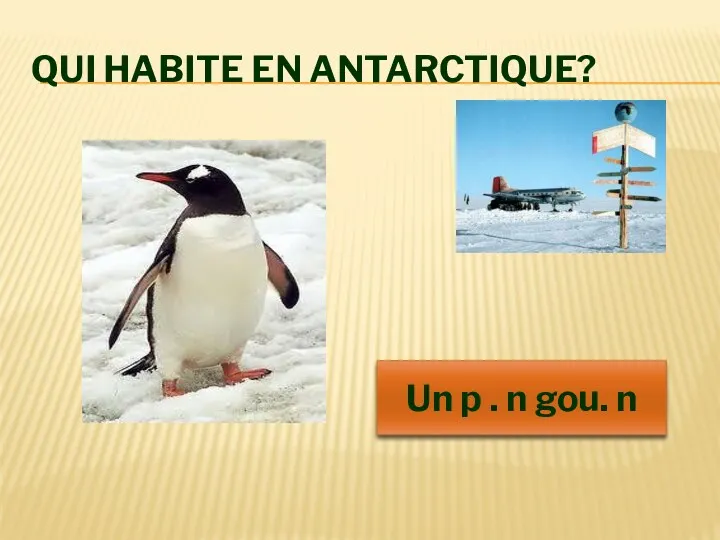 Qui habite En Antarctique? Un pingouin Un p . n gou. n