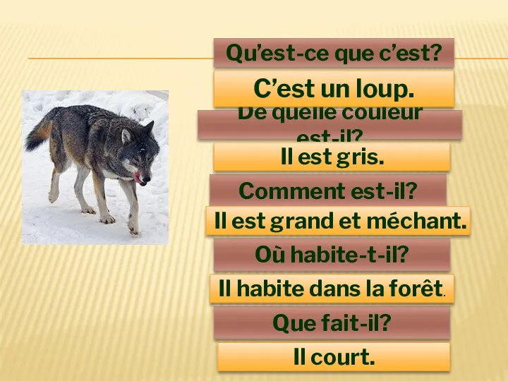 Qu’est-ce que c’est? De quelle couleur est-il? Comment est-il? Où