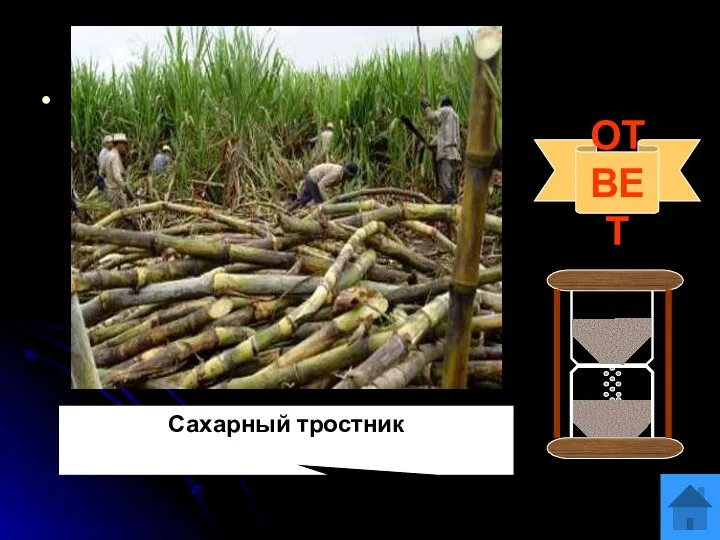 Вопрос 8 Один из воинов Александра Македонского писал об этом