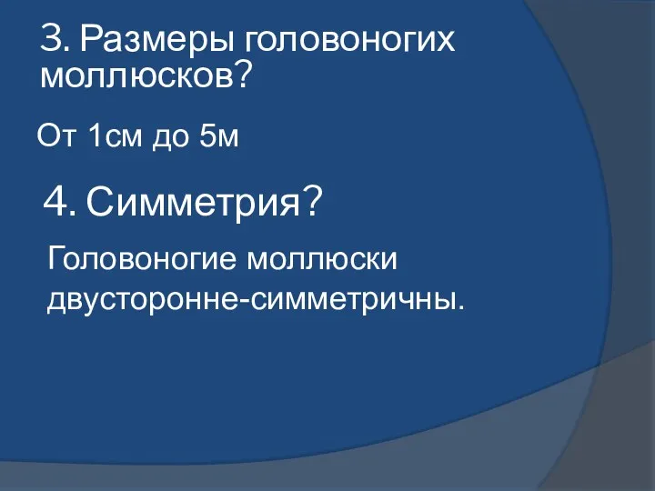 От 1см до 5м 3. Размеры головоногих моллюсков? 4. Симметрия? Головоногие моллюски двусторонне-симметричны.