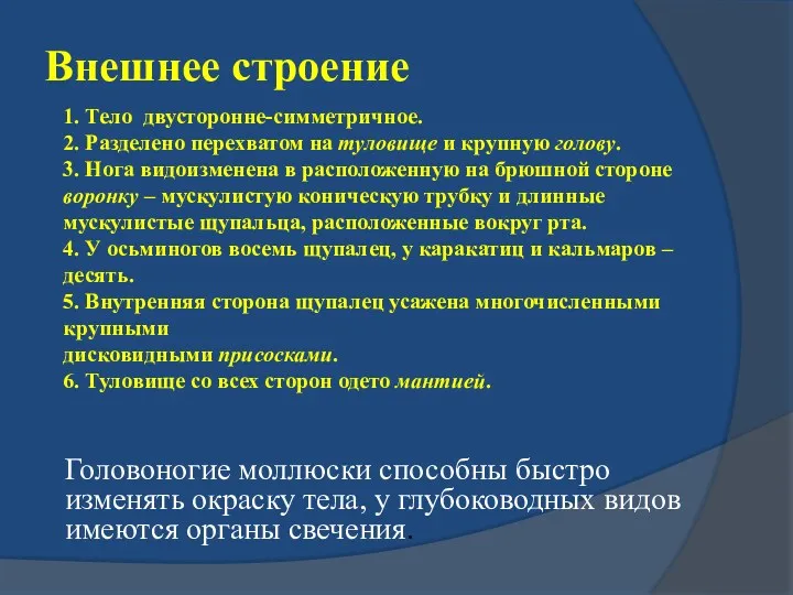 Внешнее строение 1. Тело двусторонне-симметричное. 2. Разделено перехватом на туловище и крупную голову.