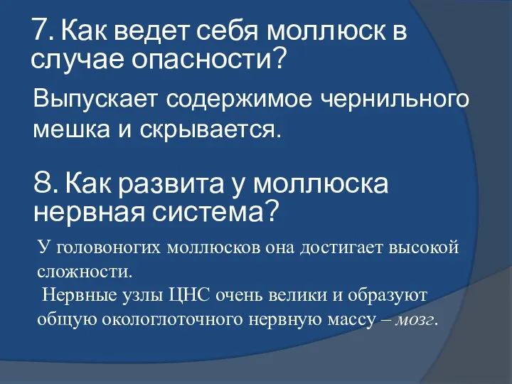 Выпускает содержимое чернильного мешка и скрывается. 7. Как ведет себя моллюск в случае