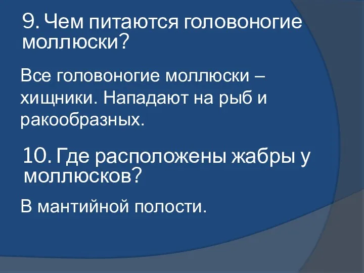 Все головоногие моллюски – хищники. Нападают на рыб и ракообразных. 9. Чем питаются