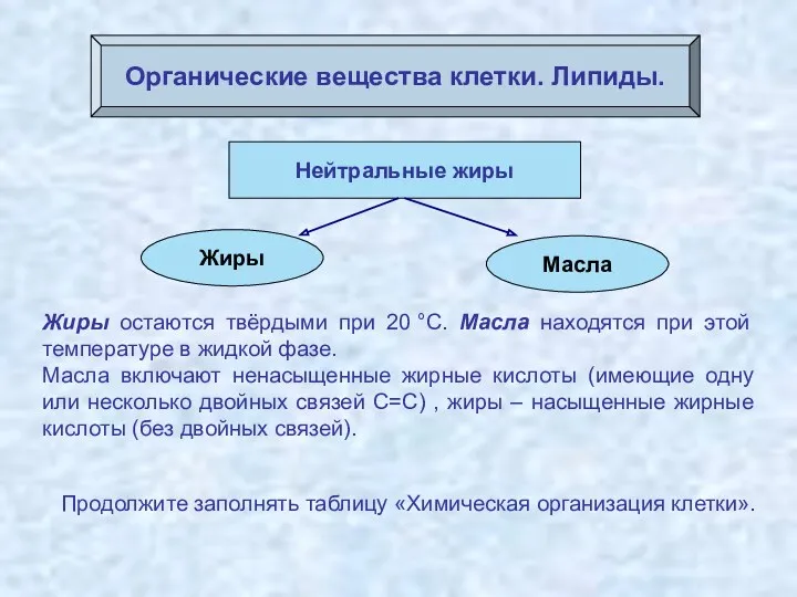 Органические вещества клетки. Липиды. Жиры остаются твёрдыми при 20 °С. Масла находятся при