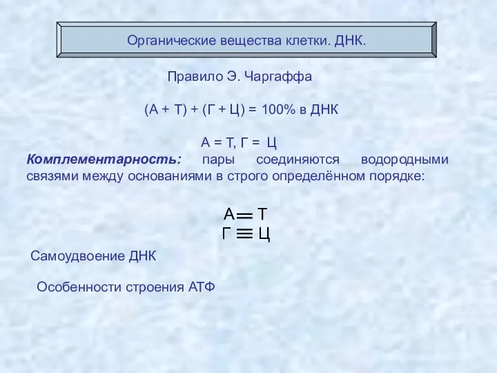 Органические вещества клетки. ДНК. Самоудвоение ДНК Правило Э. Чаргаффа (А + Т) +